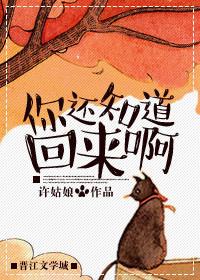 你还知道回来啊姜凌波