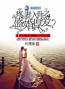 爱妻入骨之盛婚厚爱 叶清欢