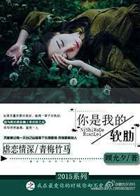 你是我的软肋也是我的铠甲完整版