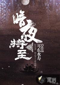 暗夜将至内容简介