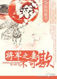 将军之妻不可欺txt