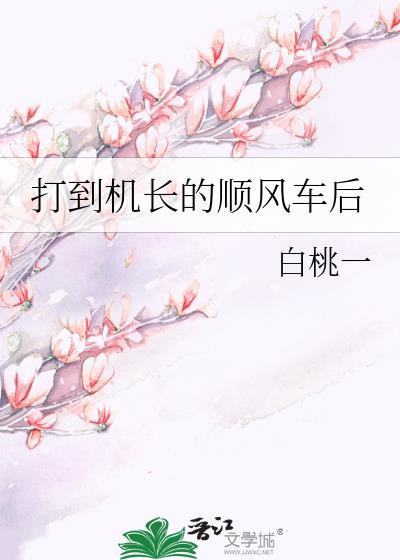 打到机长的顺风车后大结局