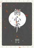 侧心术讲的什么