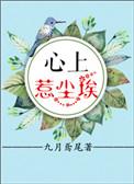 心上惹尘埃大结局