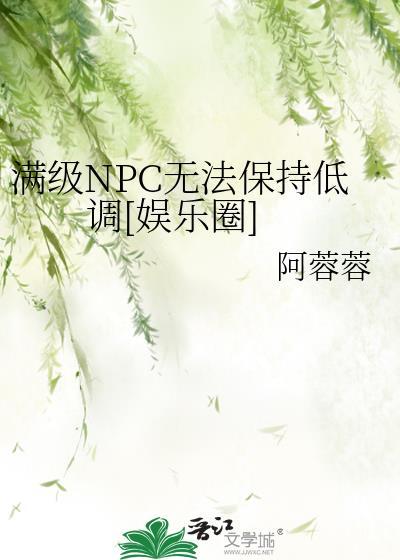 满级npc