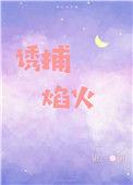 诱捕焰火67章