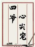 四爷心尖宠清穿晋江