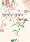 张公公退休后的日子 简介