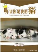 听说你是我的猫乐文