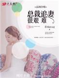 高调冷婚总裁追妻很艰难