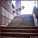 绝不放手电视剧全集观看