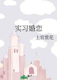 实习婚恋全文无弹窗免费阅读