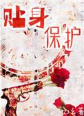 贴身保护文森特电影