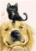 穿成猫狗靠玄学爆红