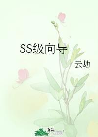 SS级向导云劫