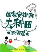 国家安排我去种田txt