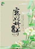 宠妃的娇宠日常免费