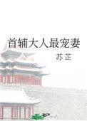 首辅大人最宠妻苏