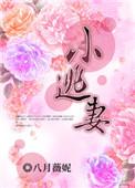 全球通缉小逃妻