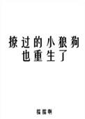撩过的小狼狗也重生了免费阅读