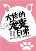 大佬宠妻日常韩素