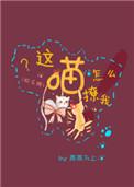 这喵怎么撩我txt番外