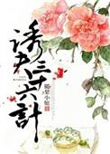 诱夫三十六计类似