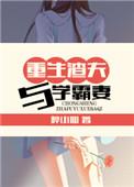 重生渣夫与学霸妻类似