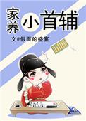 家养小首辅怎么样