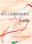 顾大人宠妻如命