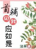 首辅见我应如是作者法采