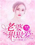 宠妻成狂
