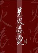 星火滚烫全本TXT