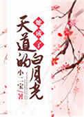 她成了天道的白月光 免费