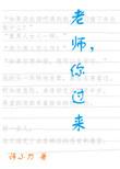 老师你过来作者诗小刀双洁吗