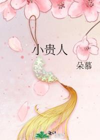 小贵人免费阅读