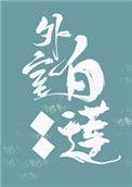 外室白莲手册女主身份