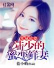 攻城掠弟txt书包