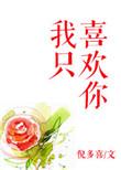 我只喜欢你 电视剧