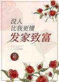 没人比我更懂得强化无弹窗