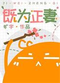 既为正妻 旷宇txt