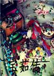 宝茹传无错完整版