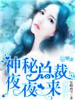 神秘总裁夜夜来之妖