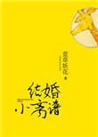 结婚小离谱txt