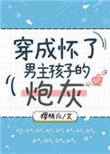 穿成怀了男主孩子的炮灰——樱桃爪