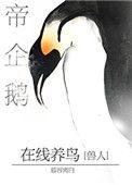 帝企鹅在线养鸟49