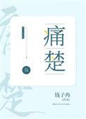 痛楚的反义词语