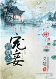 清朝之宠妾txt书包网