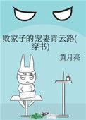 败家子的宠妻青云路(穿书)番外