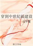 穿到中世纪搞建设 江千里